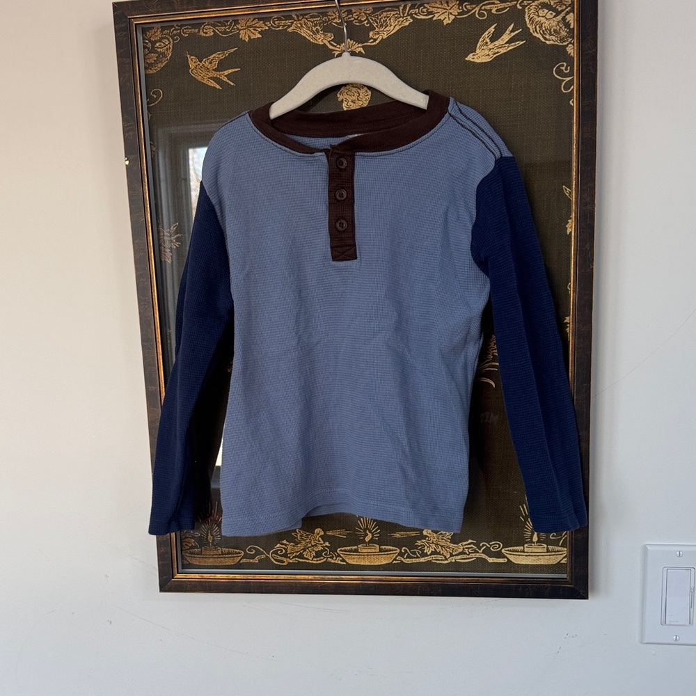 Kids Hanna Andersson Blue and Brown Long Sleeve Tee